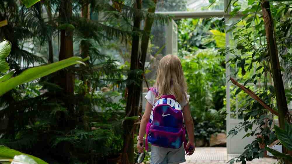 Kirstenbosch National Botanical Garden