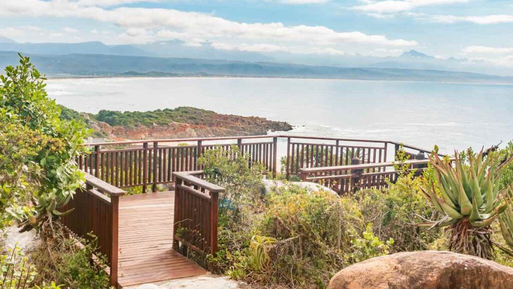 Ocean views from Plett Lookout