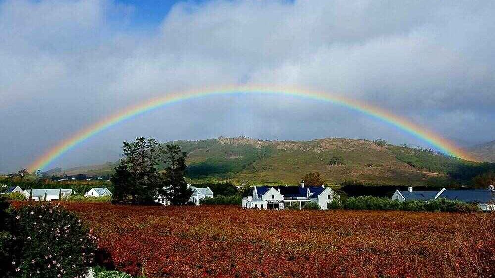 Fleur du Soleil Luxury Guesthouse View