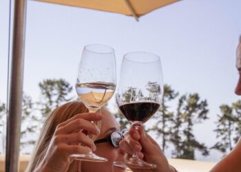 best wineries in cape town