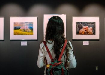 free art galleries cape town