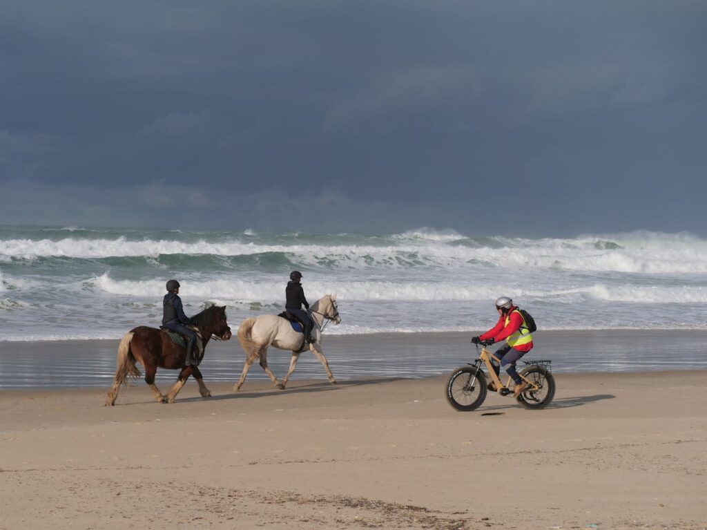 Noordhoek Beach Horseback Ride