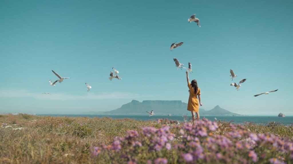Table Mountain 