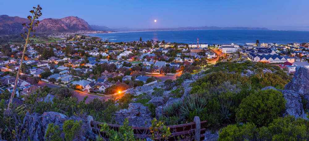 Hermanus