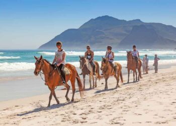 Horse Riding in Cape Town