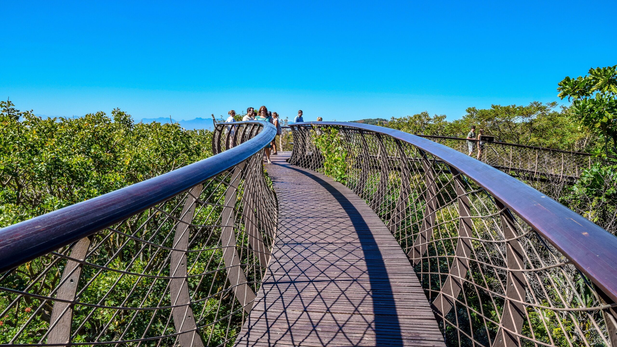Kirstenbosch Canopy Walkway