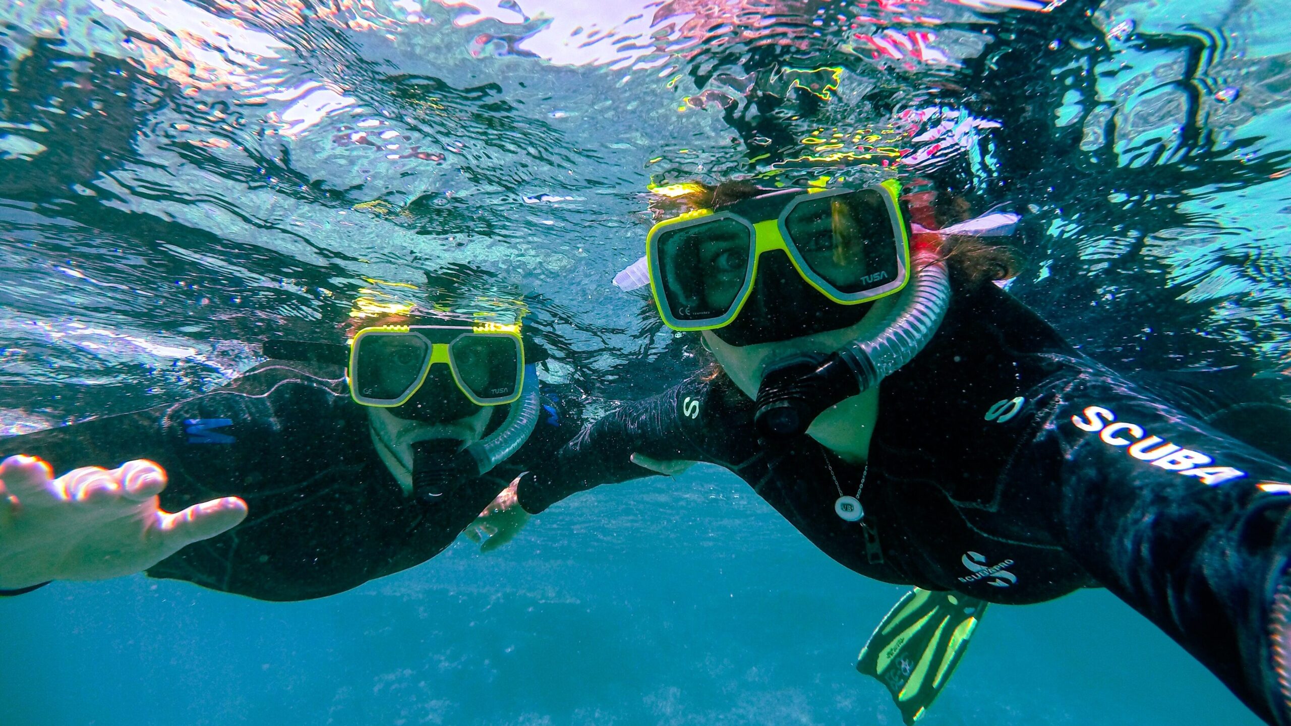 Snorkelling In the Western Cape