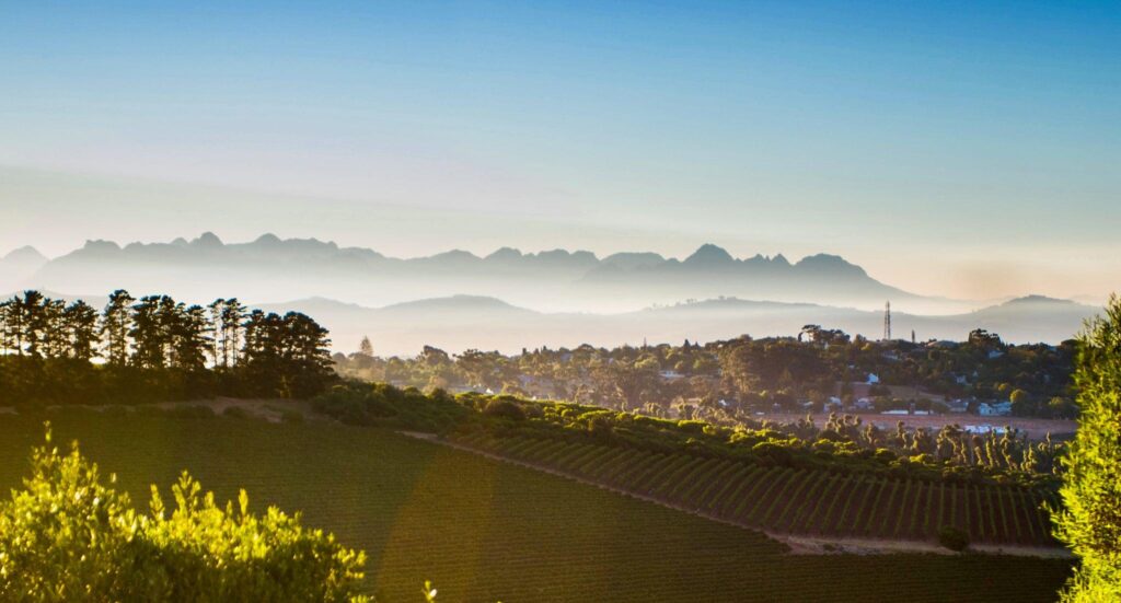 Altydgedacht Wine Estate