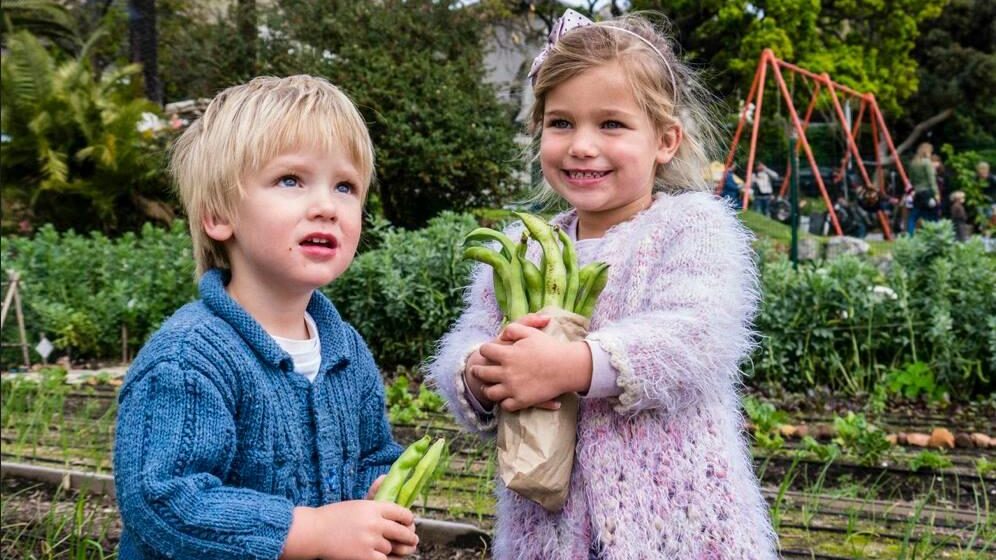 Oranjezicht City Farm Market