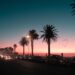 camps bay nightlife