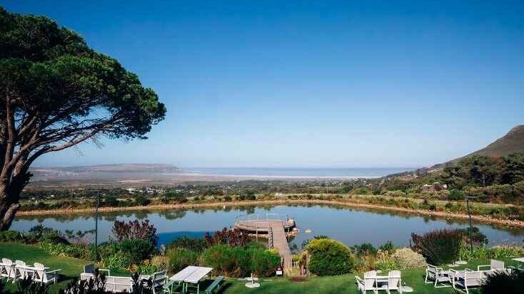 Cape Point Vineyards Restaurant View