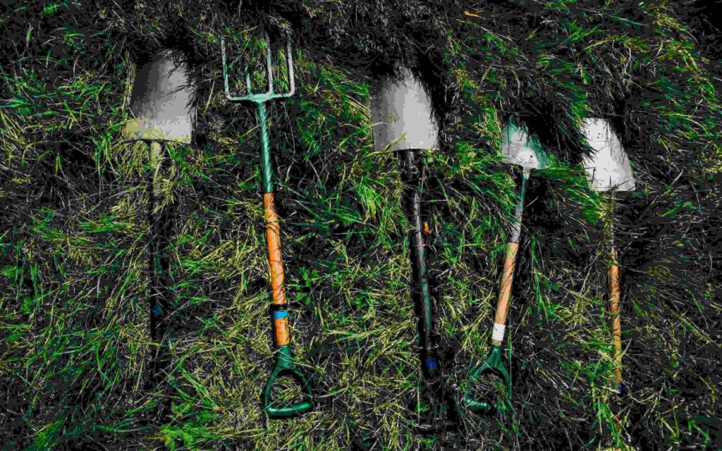 Why Compost