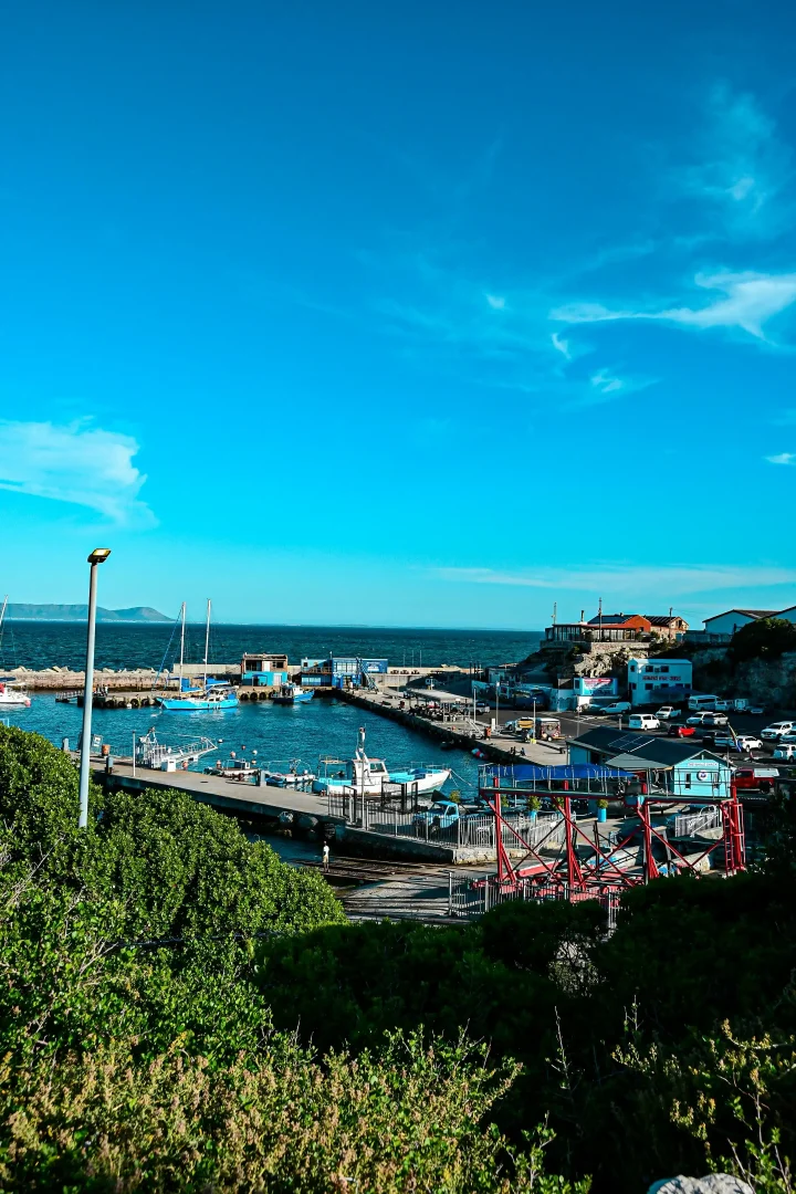 Hermanus – Whale Watching, Wine Tasting, and More