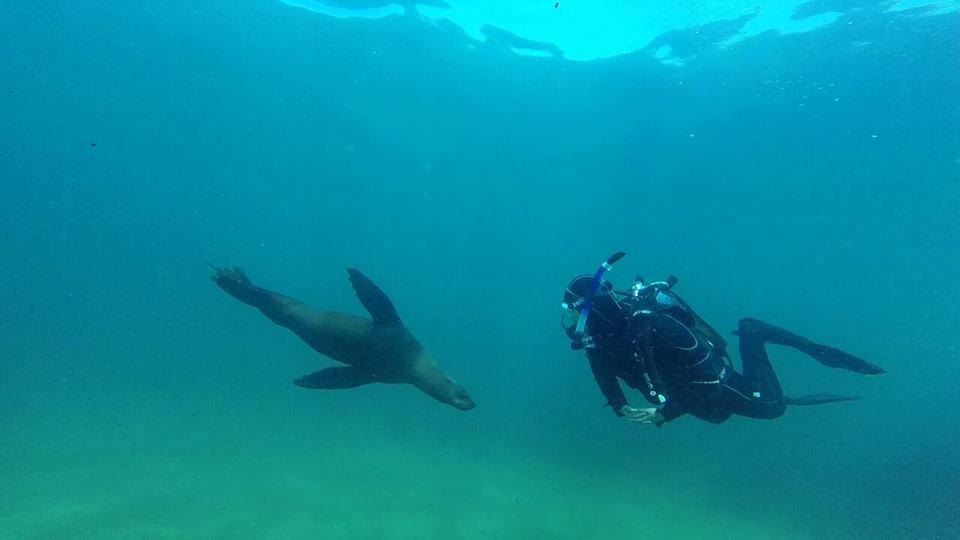 Into the Blue Adventures