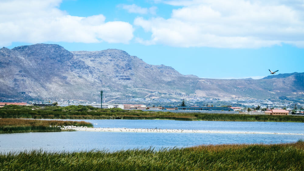 Rondevlei Nature Reserve
