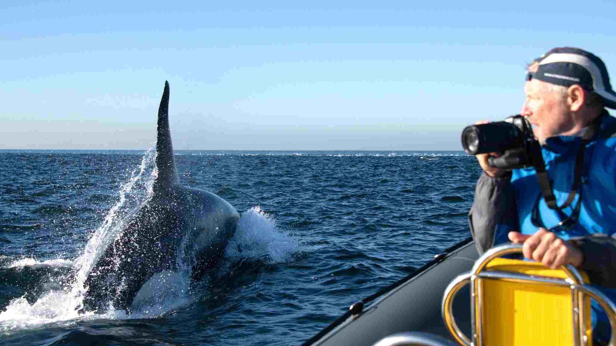 Simons Town Boat Company
