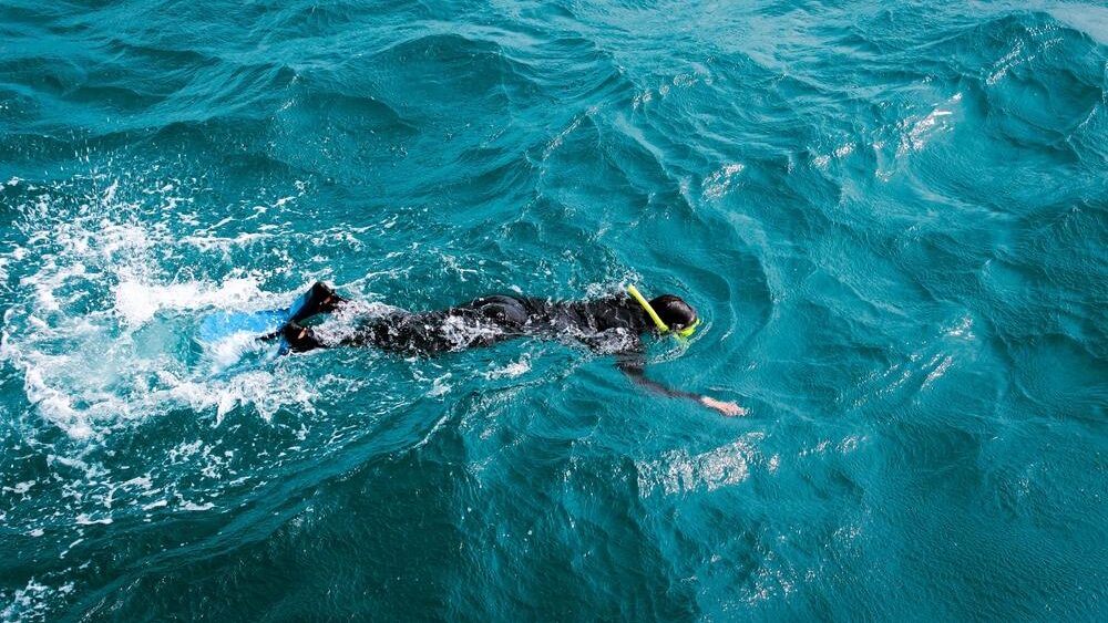 Snorkelling at Boulders Beach