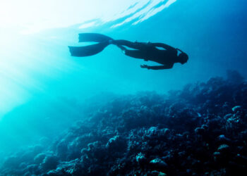 Snorkelling Cape Town