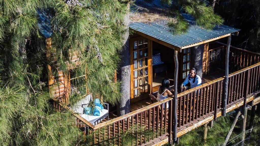 Vindoux Tree House