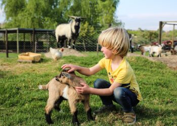 Vredenheim Animal Farm