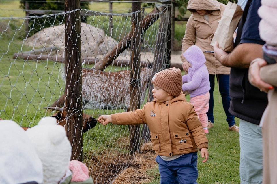 Animal Feeding at Vredenheim