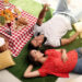 indoor picnic venues cape town