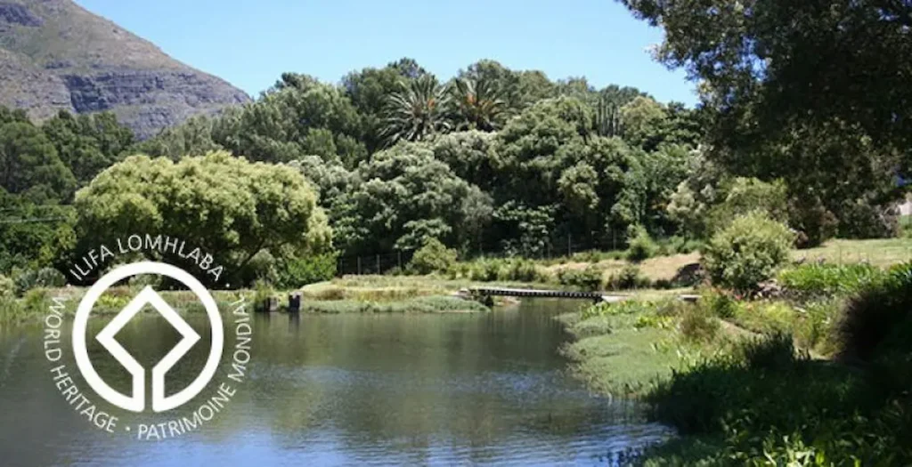 Jonkershoek Nature Reserve - Best Braai Spots