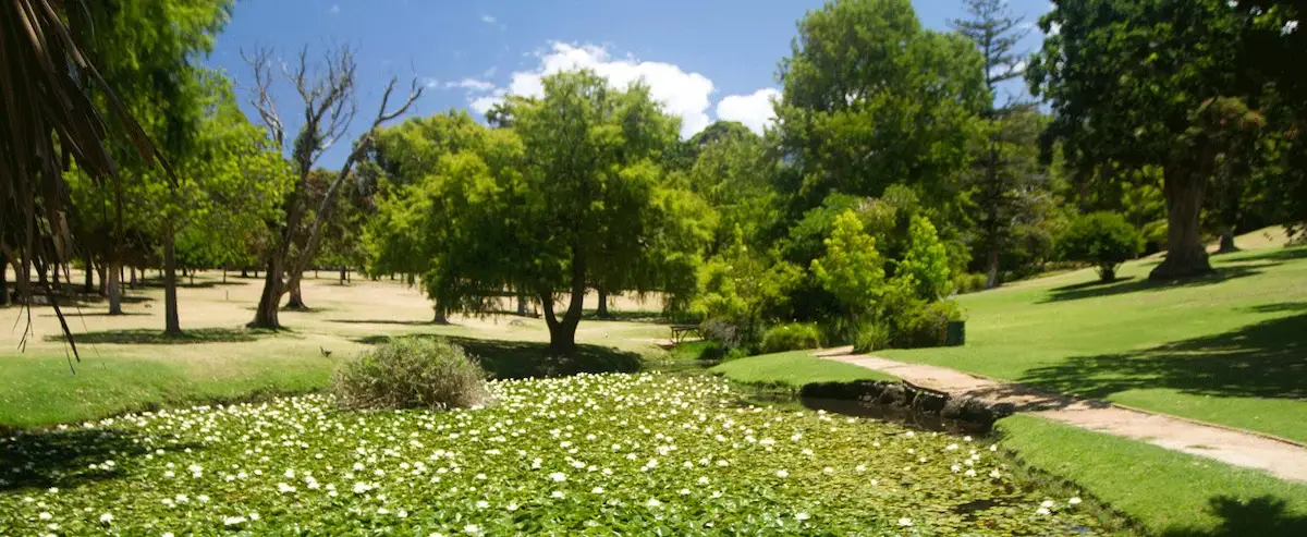 Wynberg Park - Cape Town Top Braai Spots