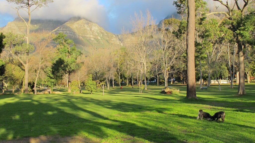 De Waal Park
