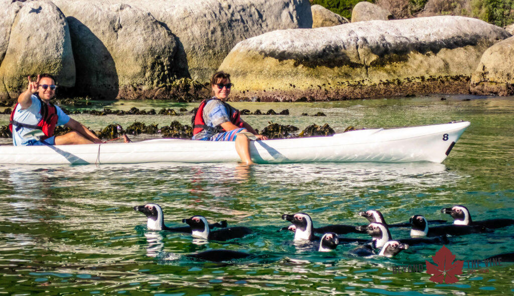 Kayaking Boulders Beach