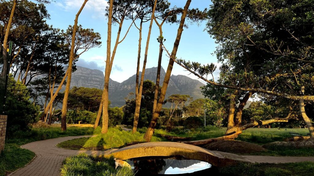 Keurboom Park