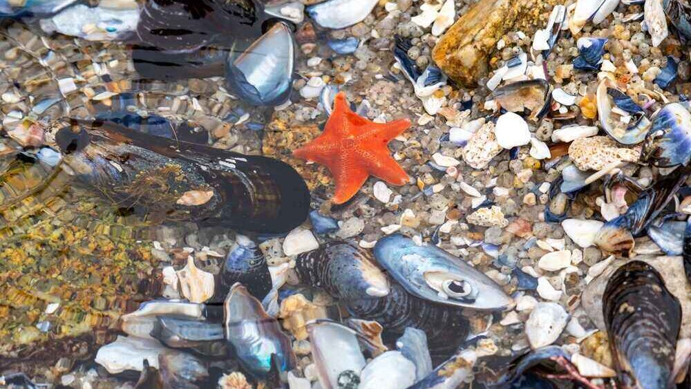 Spark's Bay Tidal Pools in Cape Town