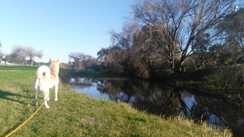 Two Rivers Urban Park Association