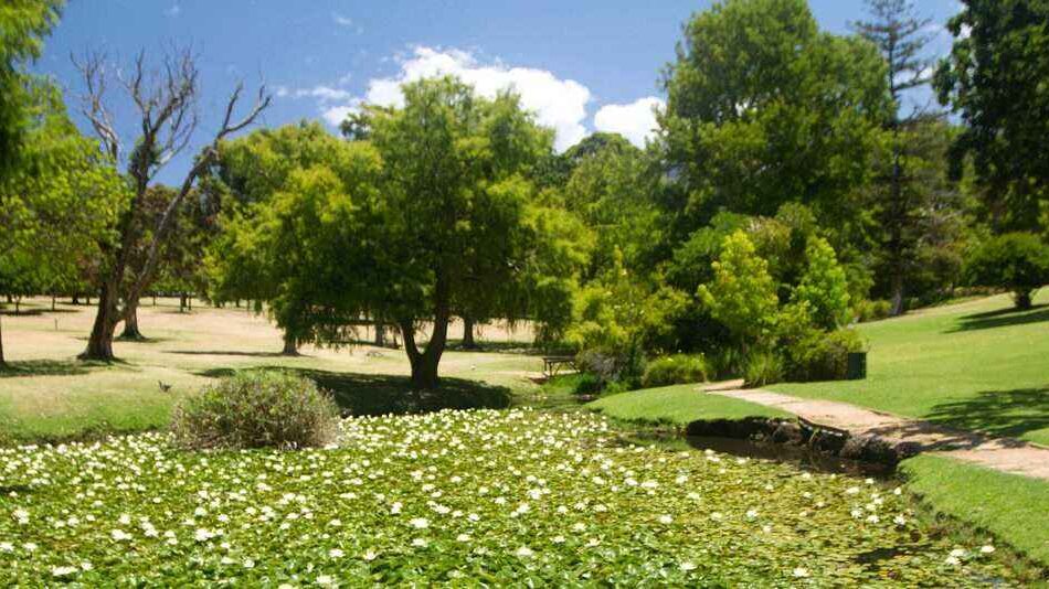 Wynberg Park