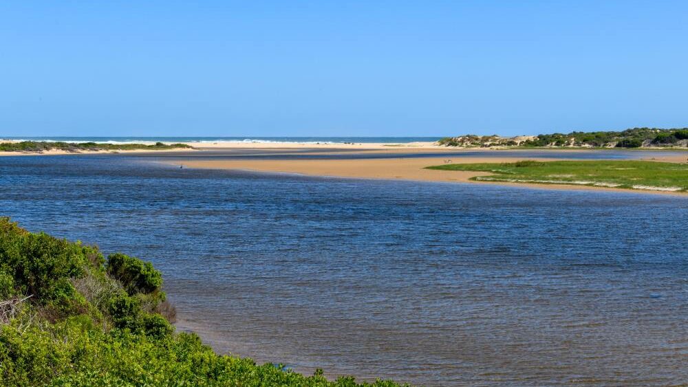 buffalo bay