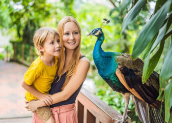 zoos in cape town