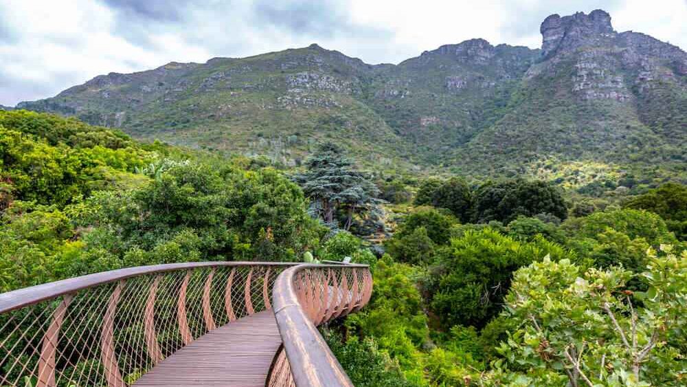Kirstenbosch National Botanical Garden