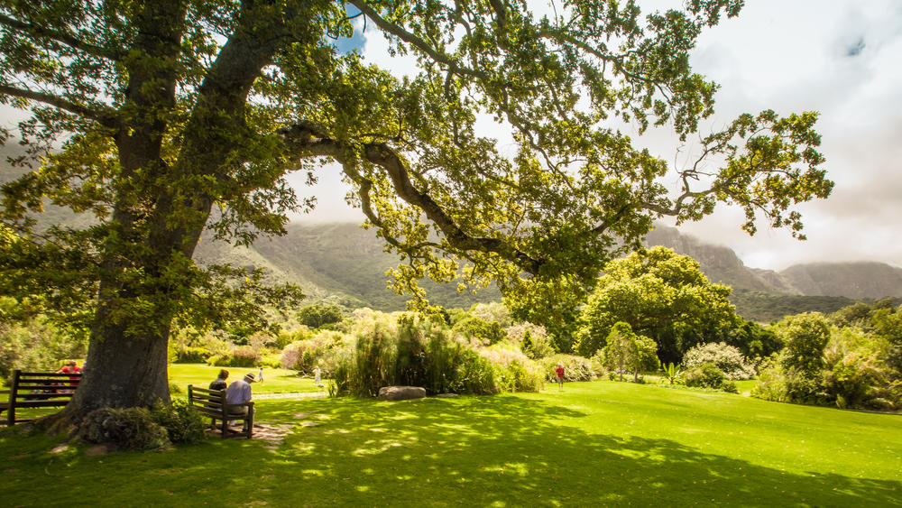 Kirstenbosch
