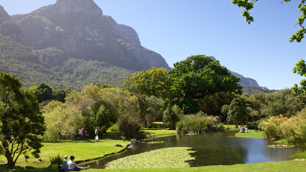 Kirstenbosch Lake
