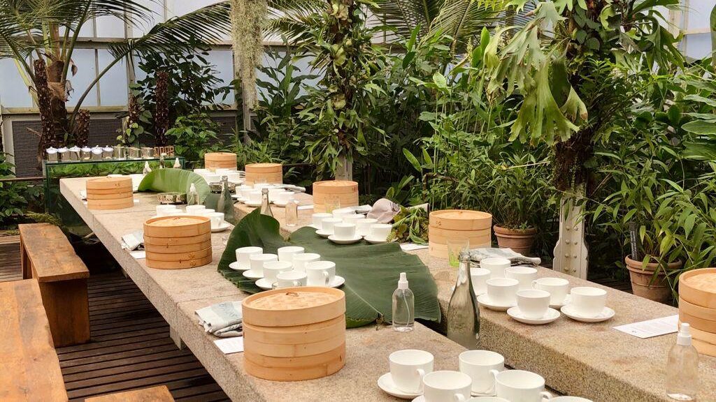 The Spice Garden at Babylonstoren