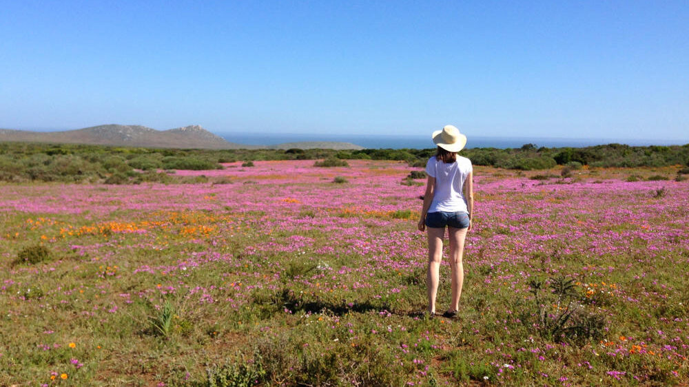 West Coast Hike