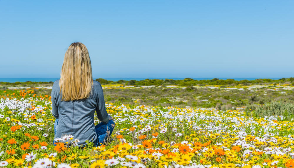 parks in cape town