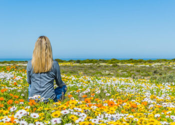 parks in cape town