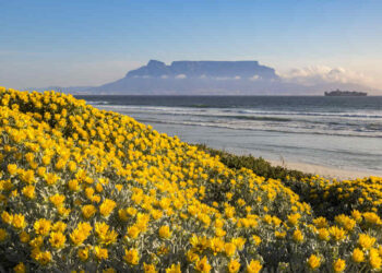 west coast of cape town