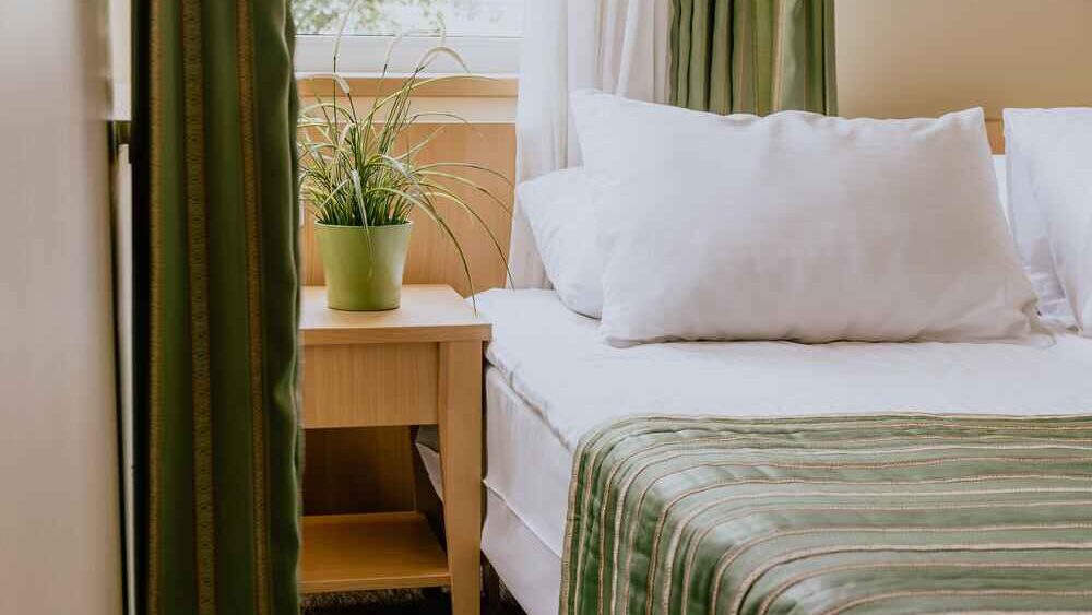 Avenue Torquay Guest House