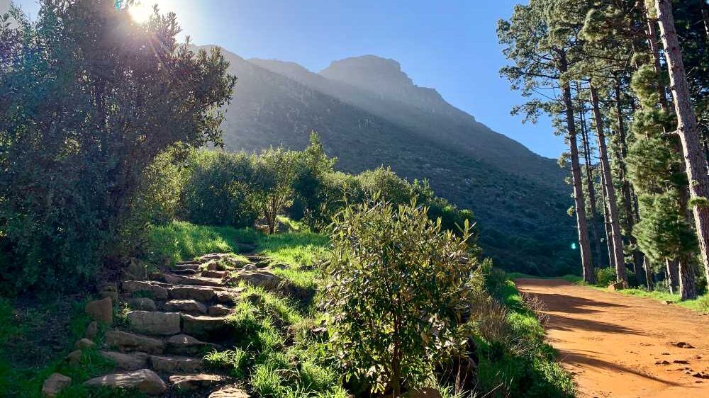 Constantia Nek Trail
