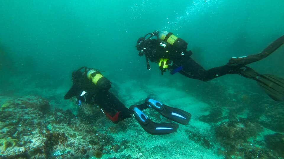 Neptune's Divers & Cruises