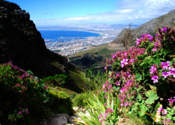 Platteklip Gorge