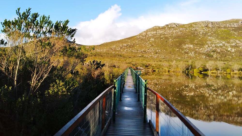 Silvermine Dam trail