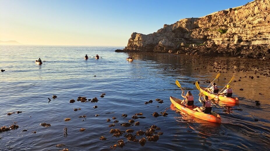 Walker Bay Sea Kayaking
